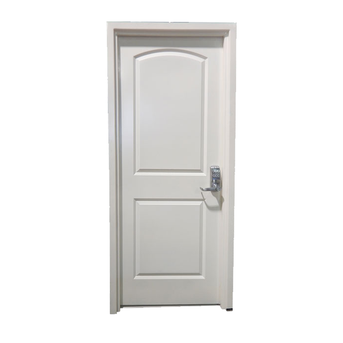 ProSteel Vanguard Security Door